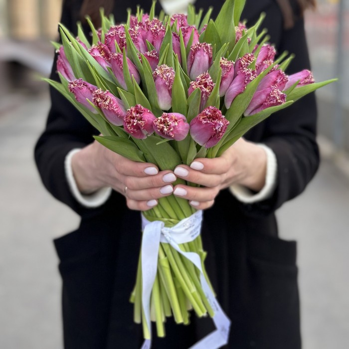 Махровый темно-розовый тюльпан Кэти Милуа