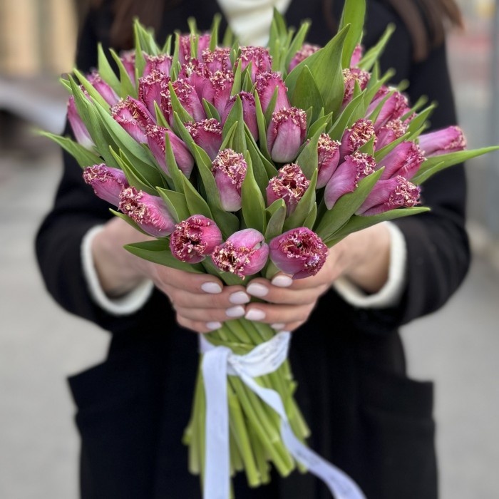 Махровый темно-розовый тюльпан Кэти Милуа