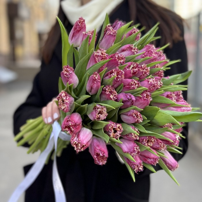 Махровый темно-розовый тюльпан Кэти Милуа