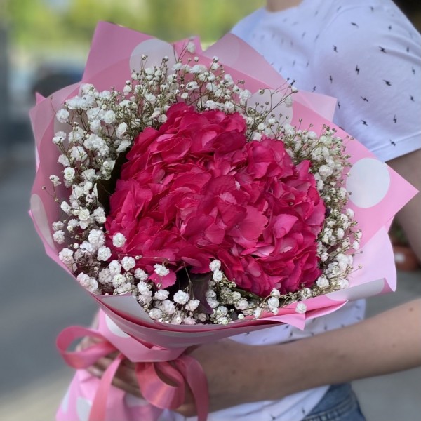 Малиновая гортензия с гипсофилой