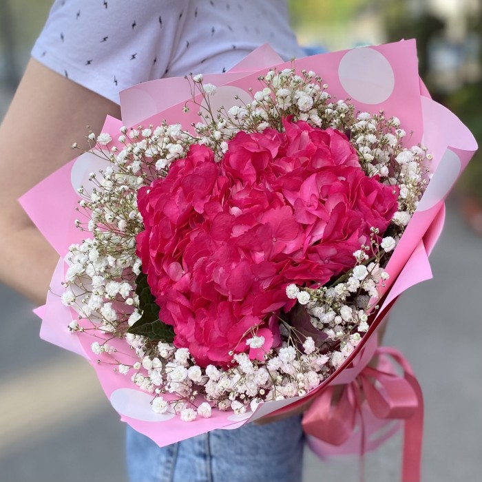 Малиновая гортензия с гипсофилой