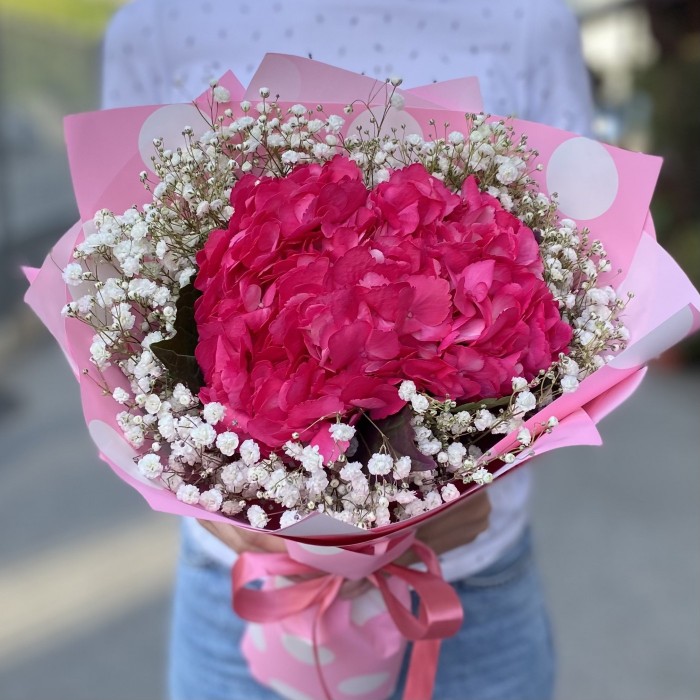 Малиновая гортензия с гипсофилой