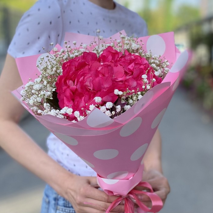 Малиновая гортензия с гипсофилой