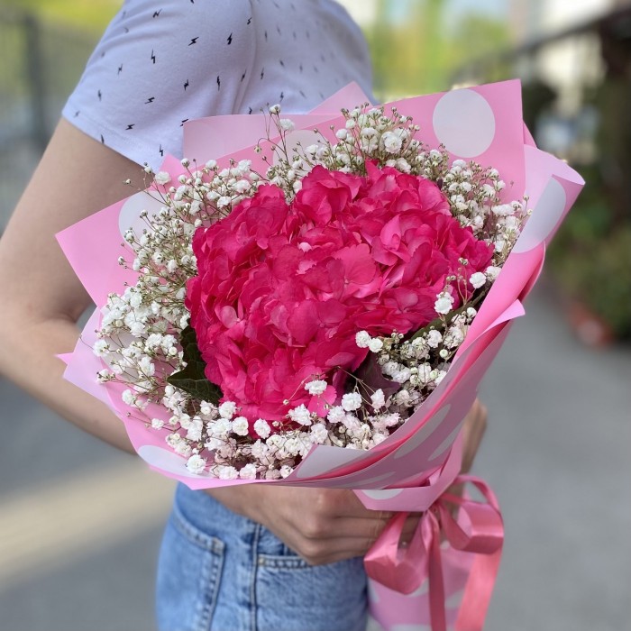 Малиновая гортензия с гипсофилой