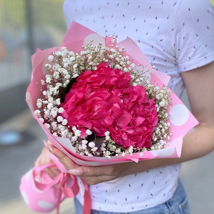 Малиновая гортензия с гипсофилой