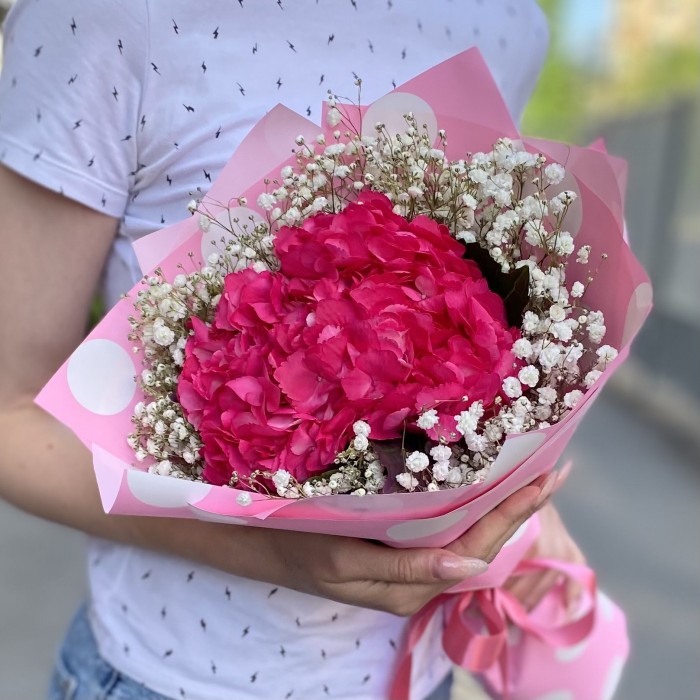 Малиновая гортензия с гипсофилой