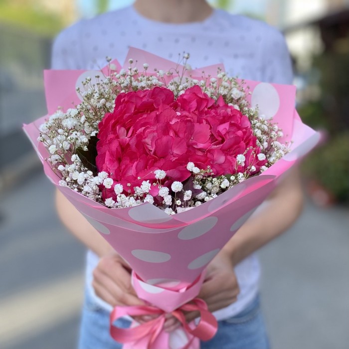 Малиновая гортензия с гипсофилой