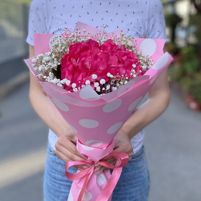 Малиновая гортензия с гипсофилой