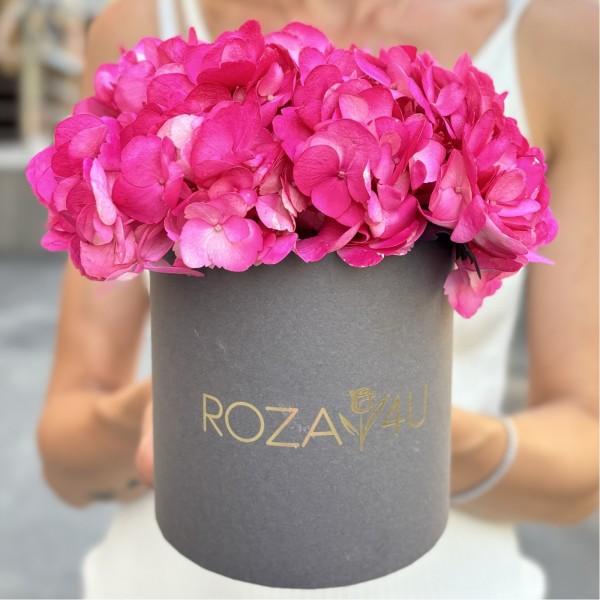 Малиновая гортензия в коробке