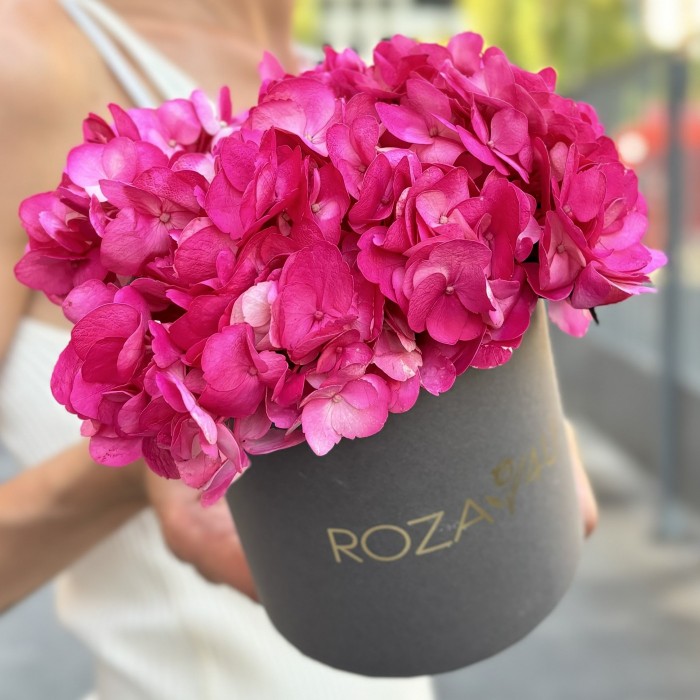 Малиновая гортензия в коробке