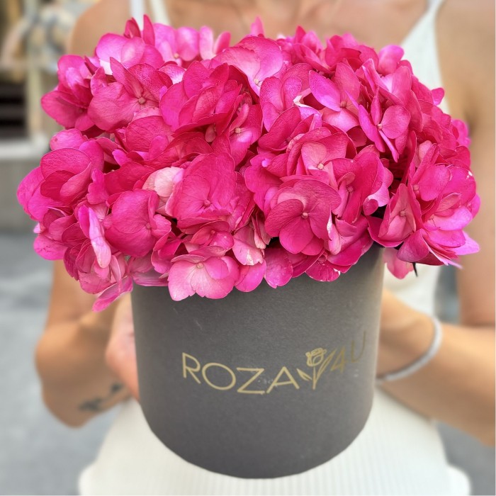 Малиновая гортензия в коробке