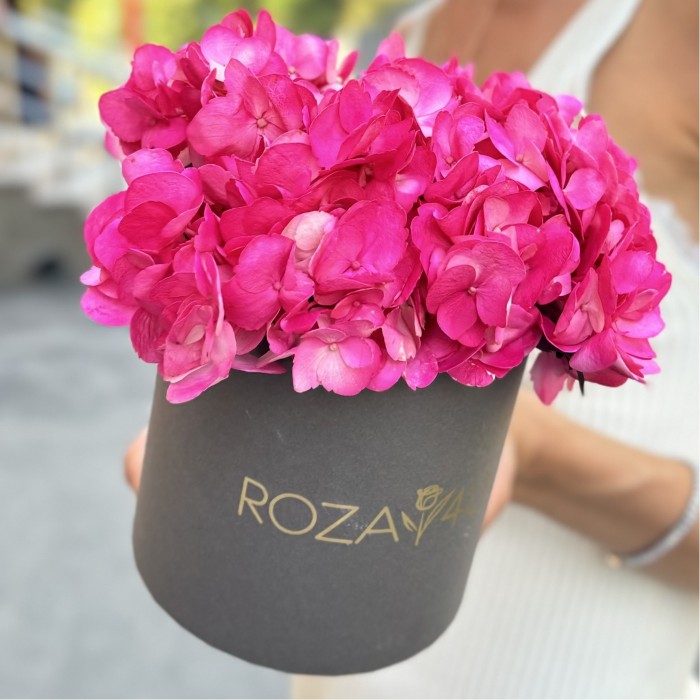 Малиновая гортензия в коробке