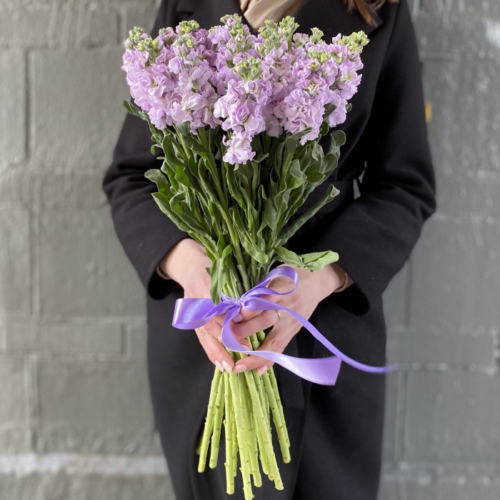 Маттиола сиреневая