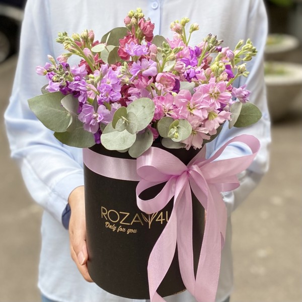 15 розовых и сиреневых маттиол в коробке