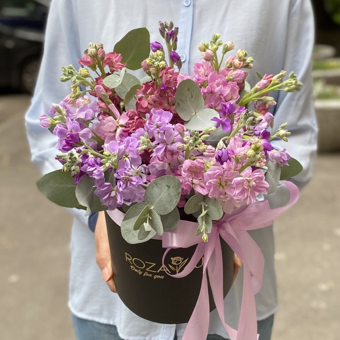 15 розовых и сиреневых маттиол в коробке