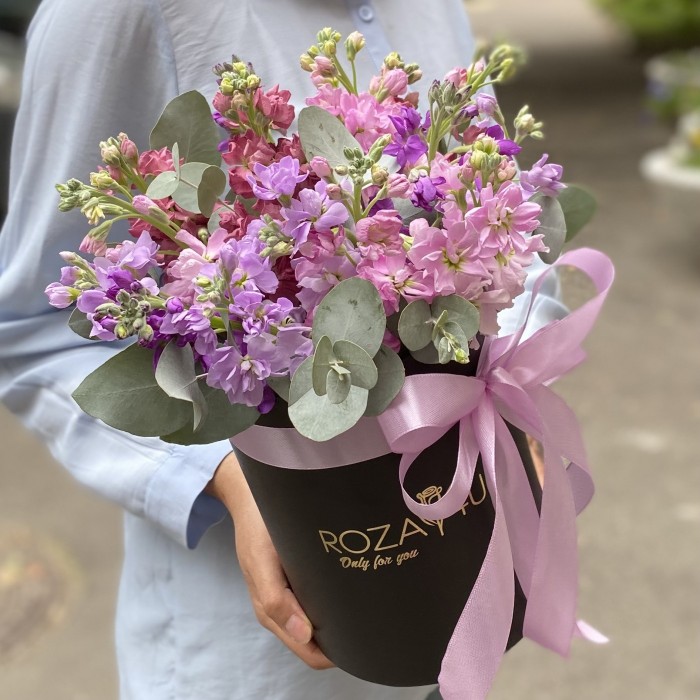 15 розовых и сиреневых маттиол в коробке