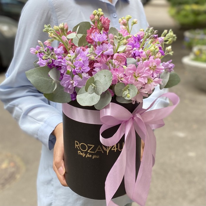 15 розовых и сиреневых маттиол в коробке