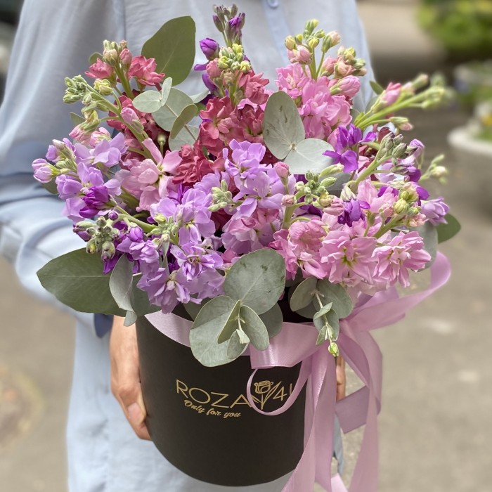 15 розовых и сиреневых маттиол в коробке