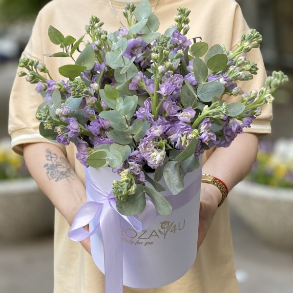 15 сиреневых маттиол в коробке