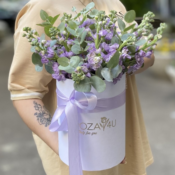 15 сиреневых маттиол в коробке