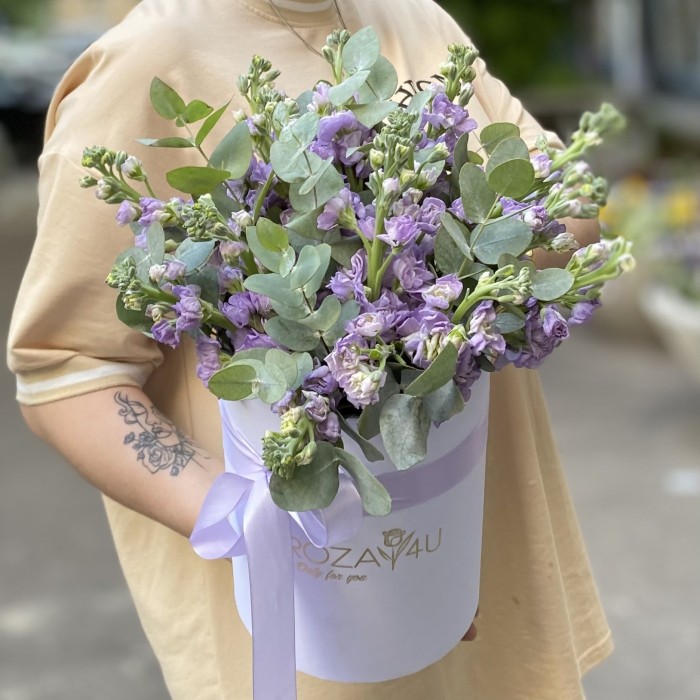 15 сиреневых маттиол в коробке