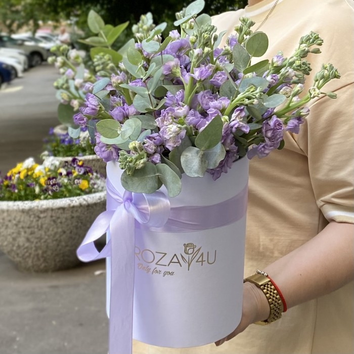 15 сиреневых маттиол в коробке