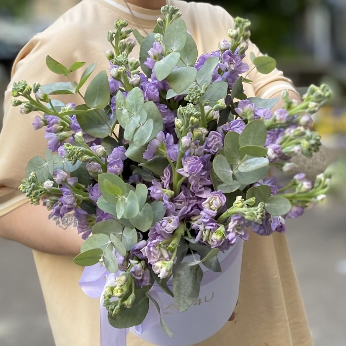 15 сиреневых маттиол в коробке