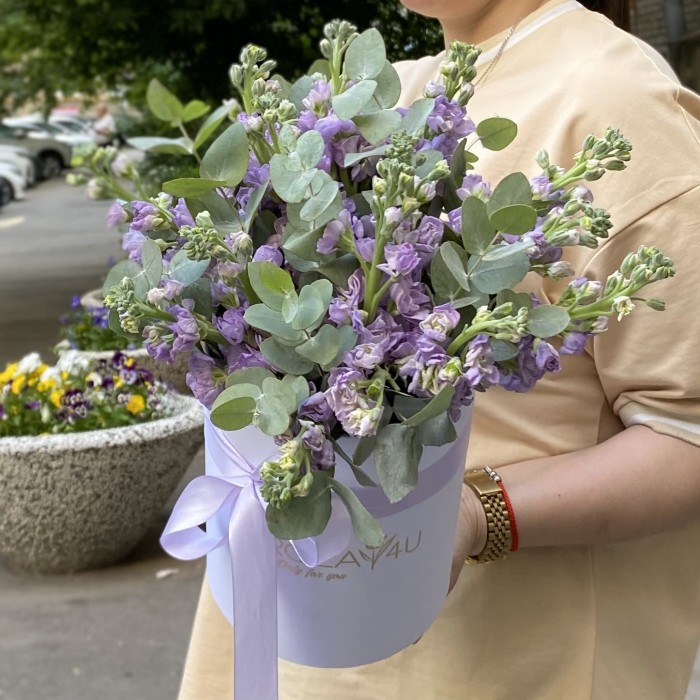 15 сиреневых маттиол в коробке