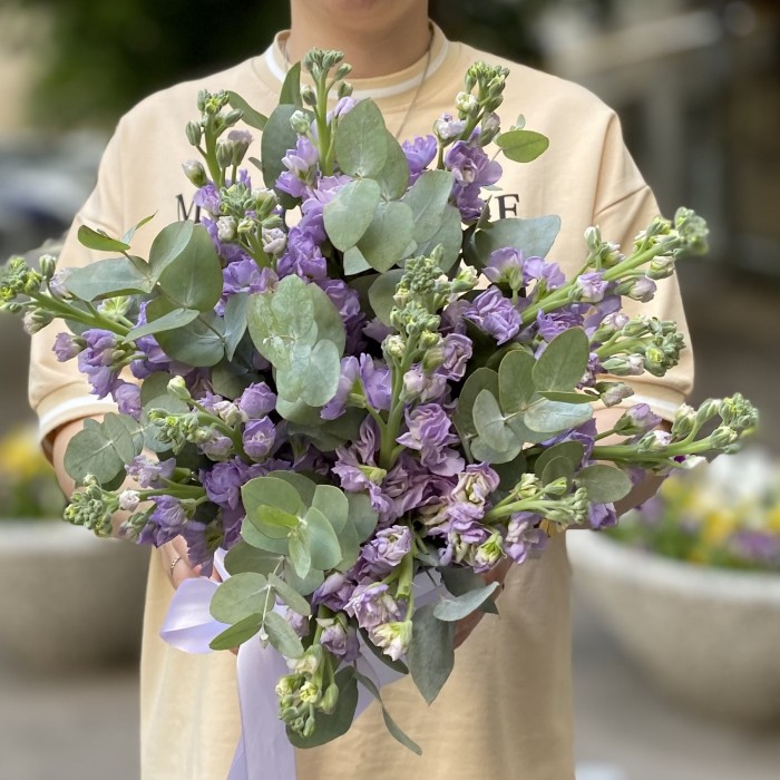 15 сиреневых маттиол в коробке