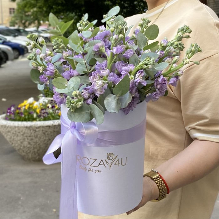 15 сиреневых маттиол в коробке