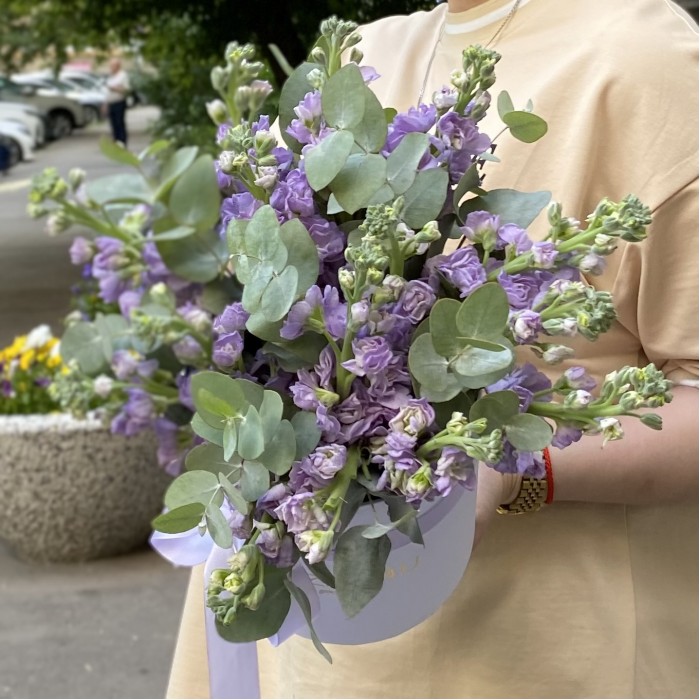 15 сиреневых маттиол в коробке