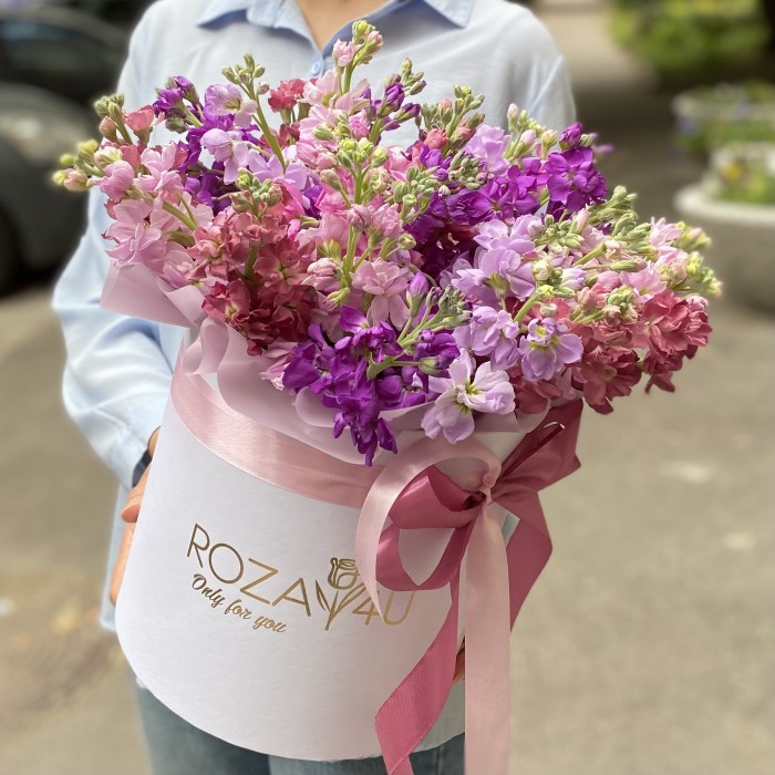 31 сиреневая и розовая маттиола в коробке