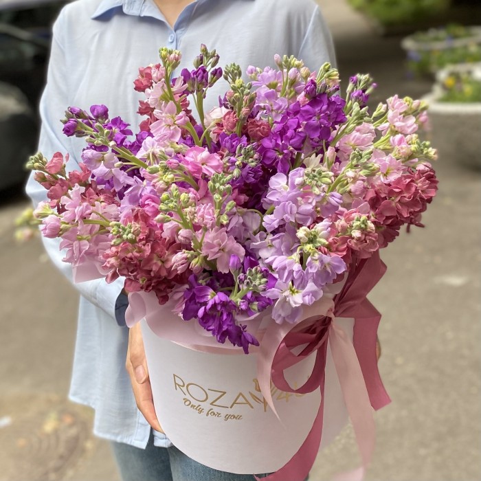 31 сиреневая и розовая маттиола в коробке