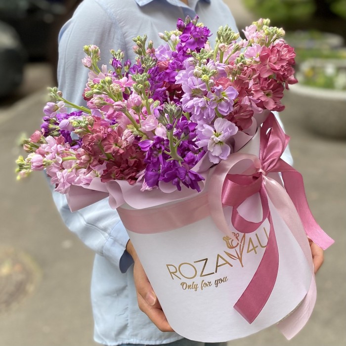 31 сиреневая и розовая маттиола в коробке