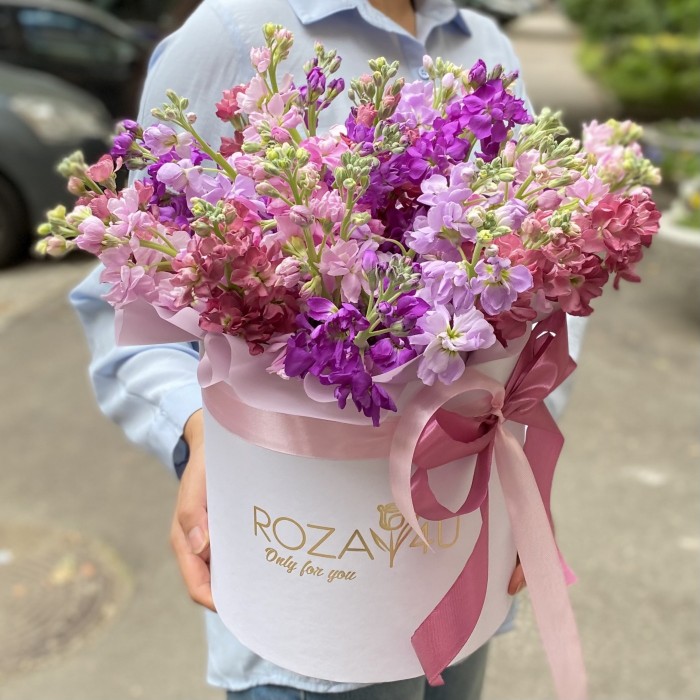 31 сиреневая и розовая маттиола в коробке