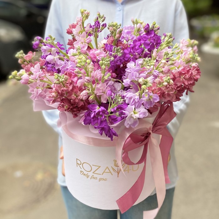 31 сиреневая и розовая маттиола в коробке