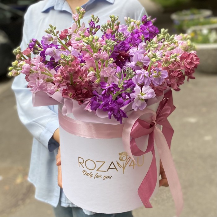 31 сиреневая и розовая маттиола в коробке