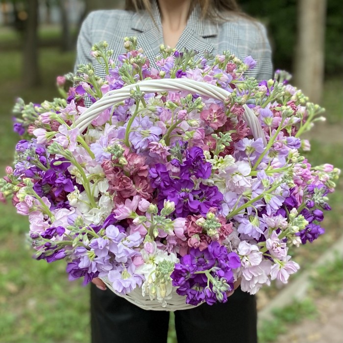 51 ароматная маттиола микс в корзине