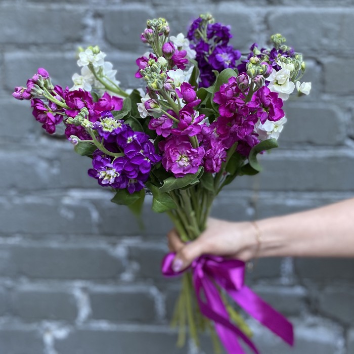 Букет Маттиола ароматная