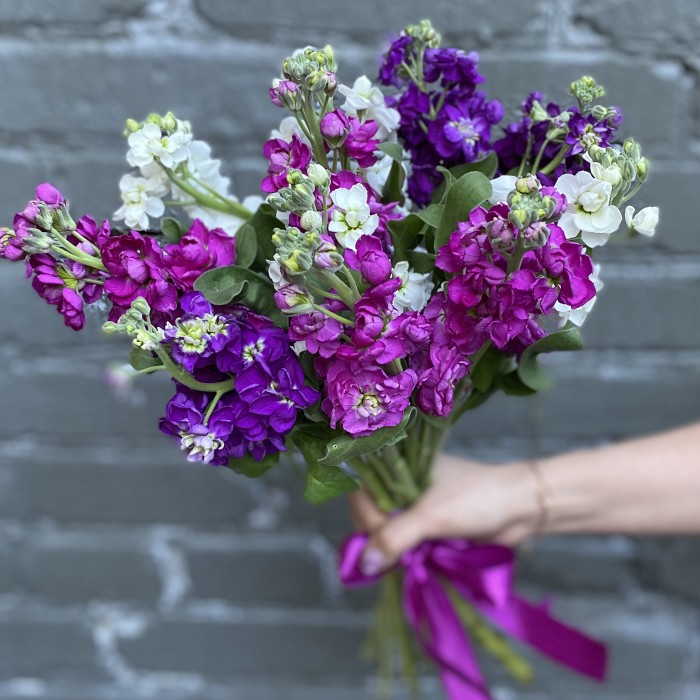 Букет Маттиола ароматная