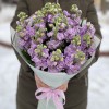 Букет из ароматной сиреневой маттиолы