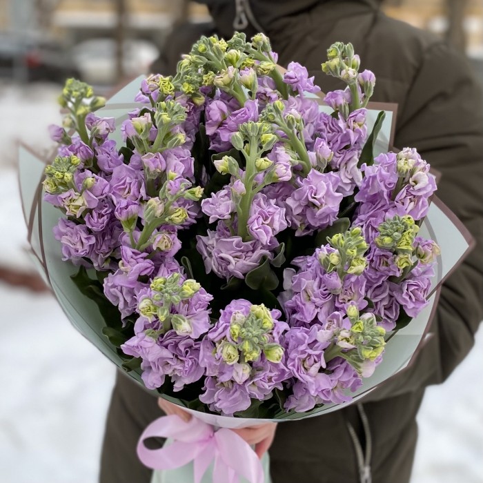 Букет из ароматной сиреневой маттиолы