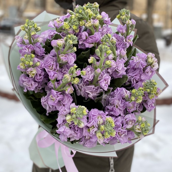 Букет из ароматной сиреневой маттиолы