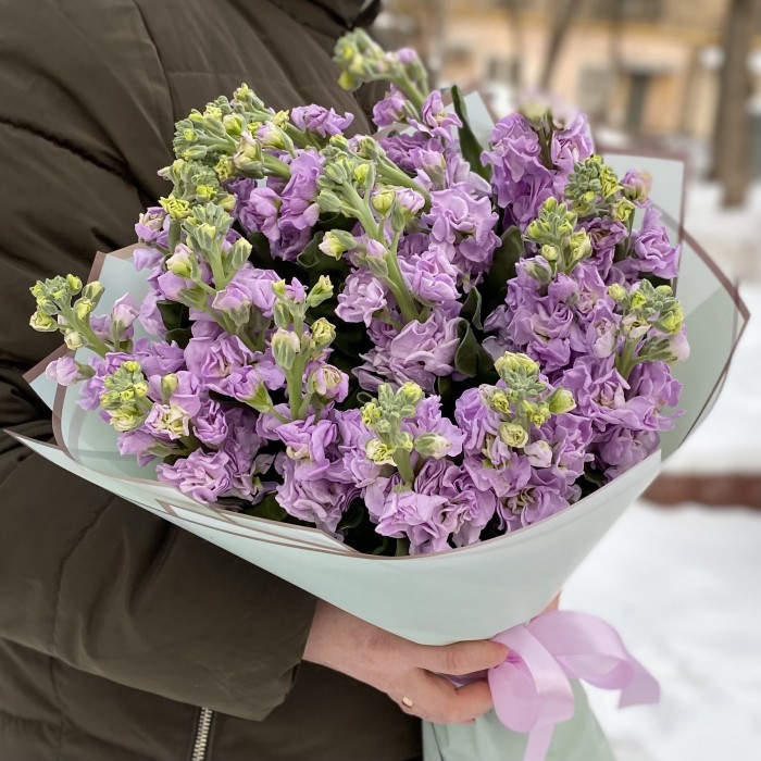 Букет из ароматной сиреневой маттиолы