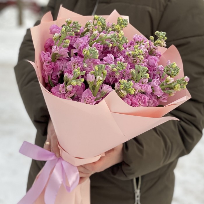Букет из ароматной малиновой маттиолы
