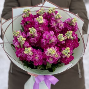 Букет из ароматной малиновой маттиолы