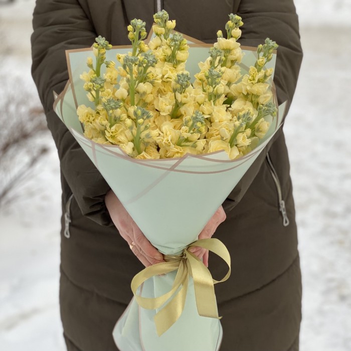 Букет из ароматной желтой маттиолы