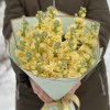 Букет из ароматной желтой маттиолы