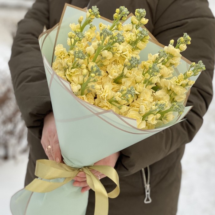 Букет из ароматной желтой маттиолы