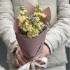 Корпоративный букет кремовых маттиол